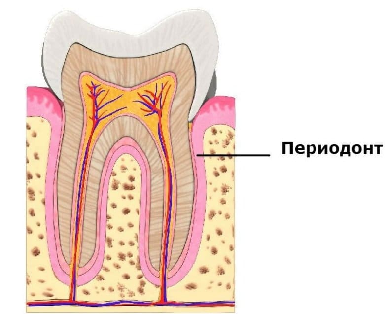 Боль в здоровом зубе
