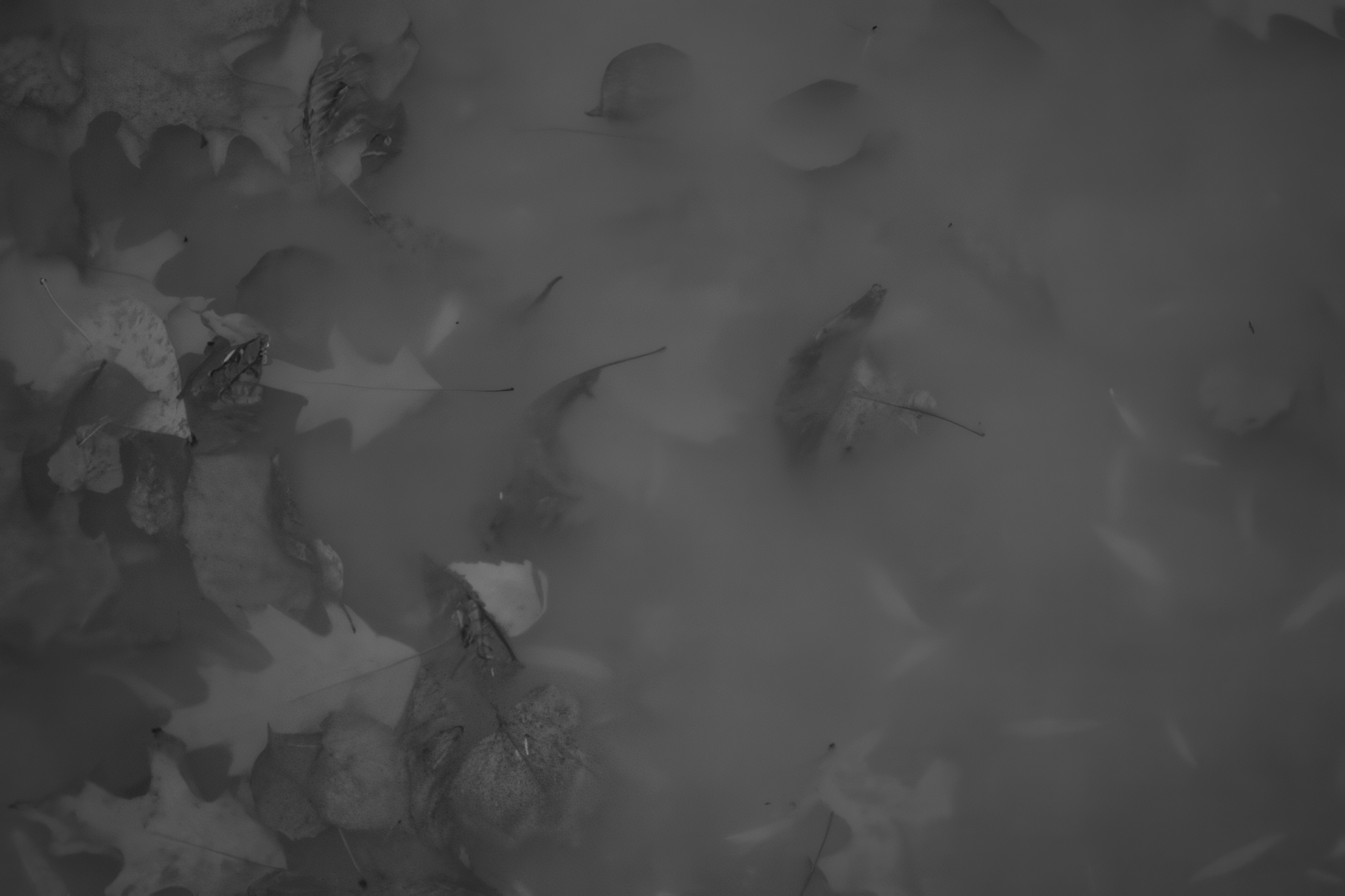 Анастассия Хралович, «Дневник одиночества. Раздел первый. Зеркало»