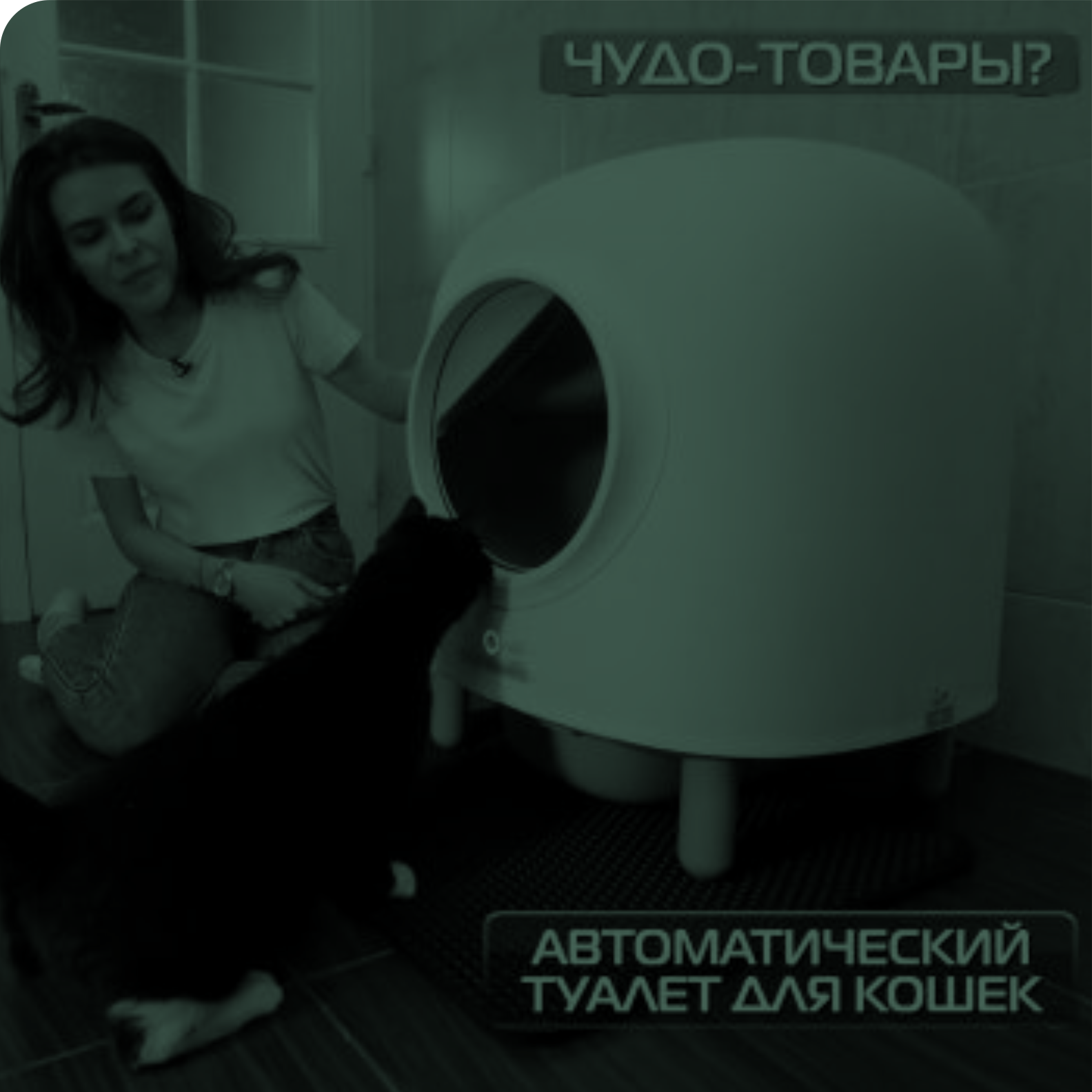 UNIQPET умные гаджеты для животных