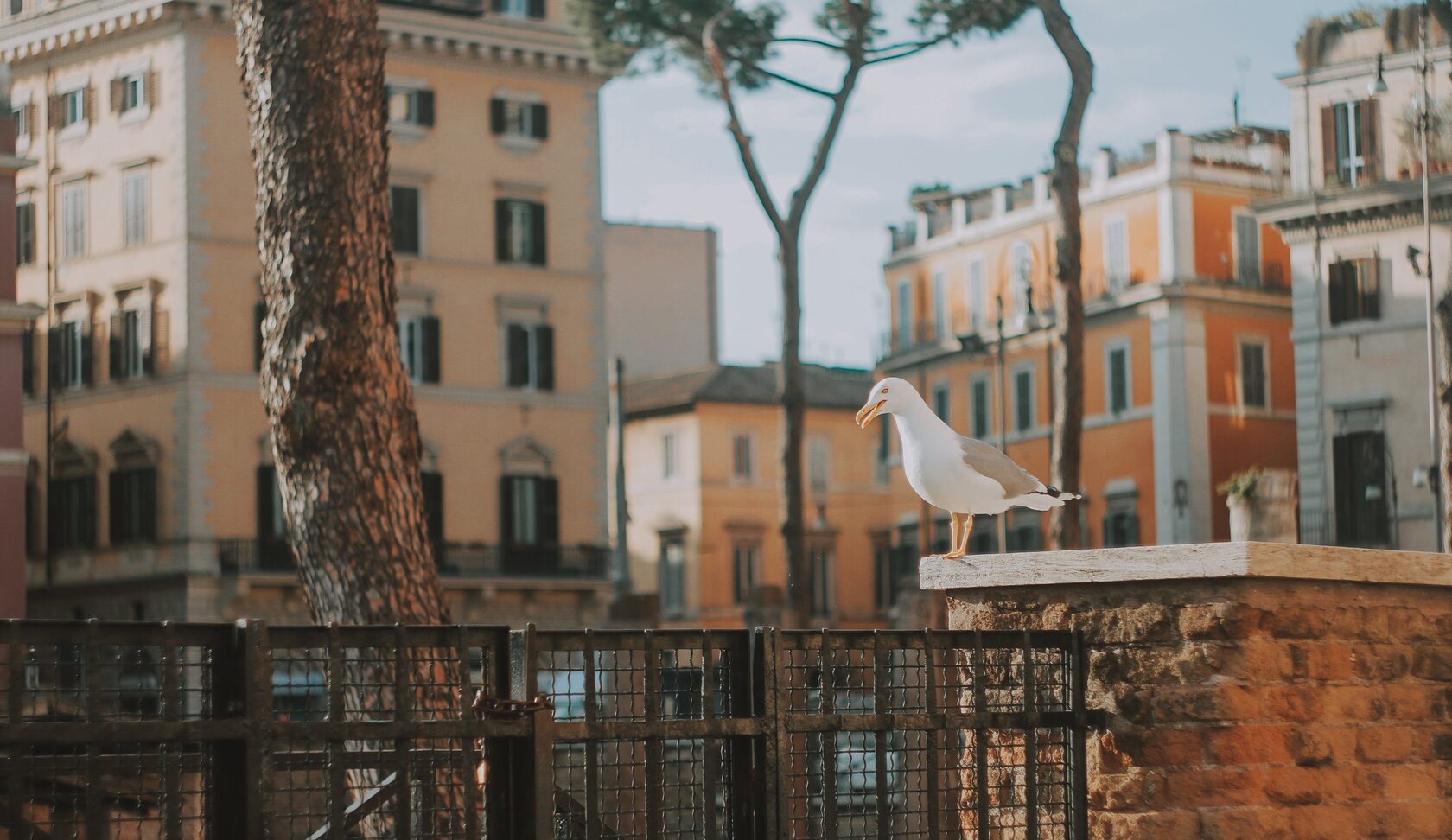 food capital of italy, where is rome in italy, what is the capital of italy, what was the first capital of italy