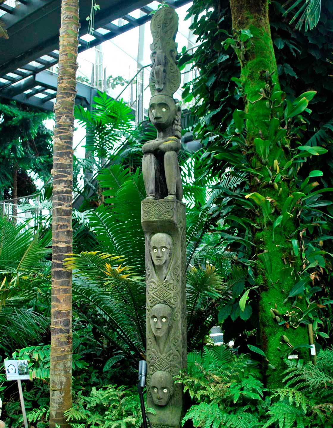 сады у залива Марина Бей в Сингапуре оранжерея Дождевой облачный лес
