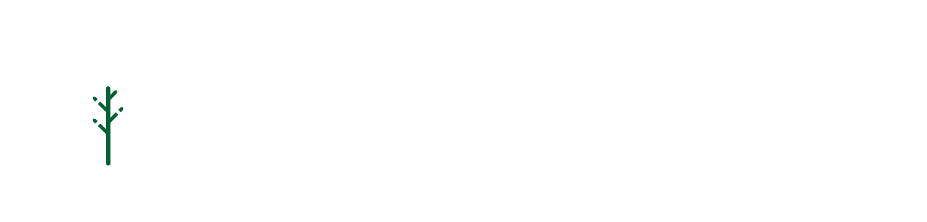 банные чаны чансфера