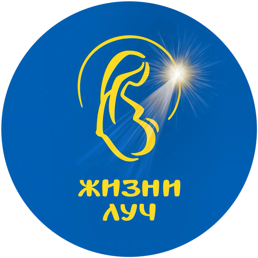 Наша деятельность