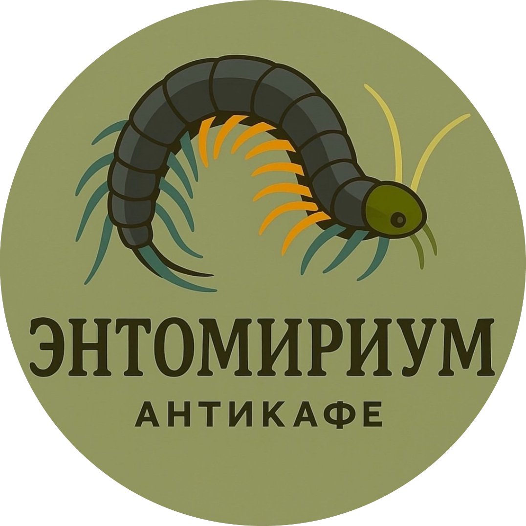 ЭнтоМириум