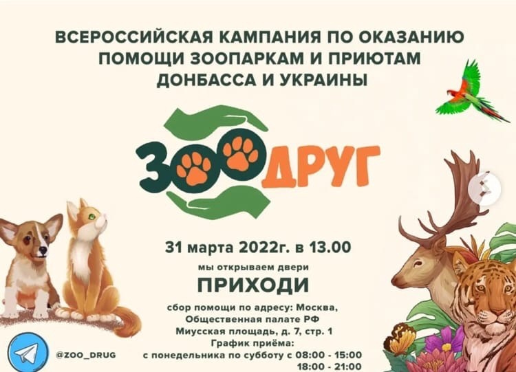 Помощь зоопарку. Помощь зоопаркам Донбасса. Благотворительность в зоопарки. Аргументы в поддержку зоопарков. Зоопарк Донбасса фестиваль.