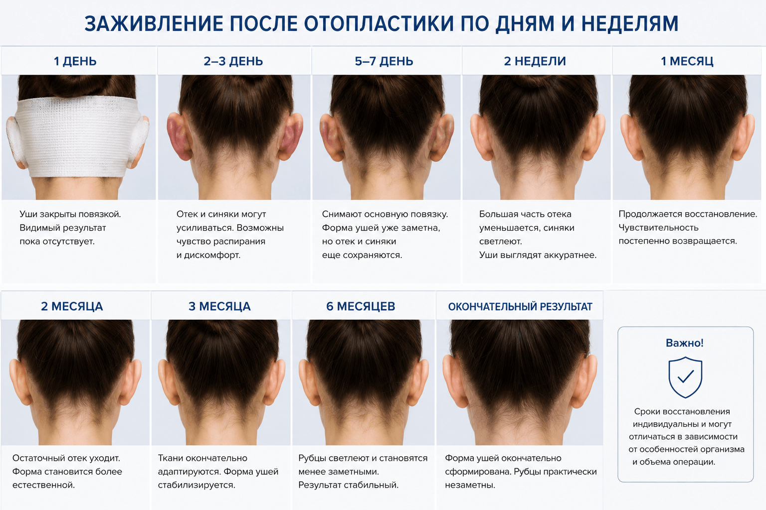 заживление после отопластики по неделям