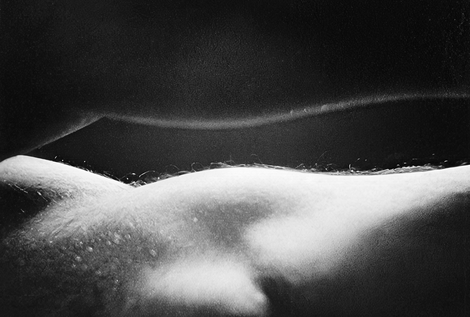 Здэнэк Лготак (Zdeněk Lhoták), серыя «Аўтапартрэт». «Анатомія 2»