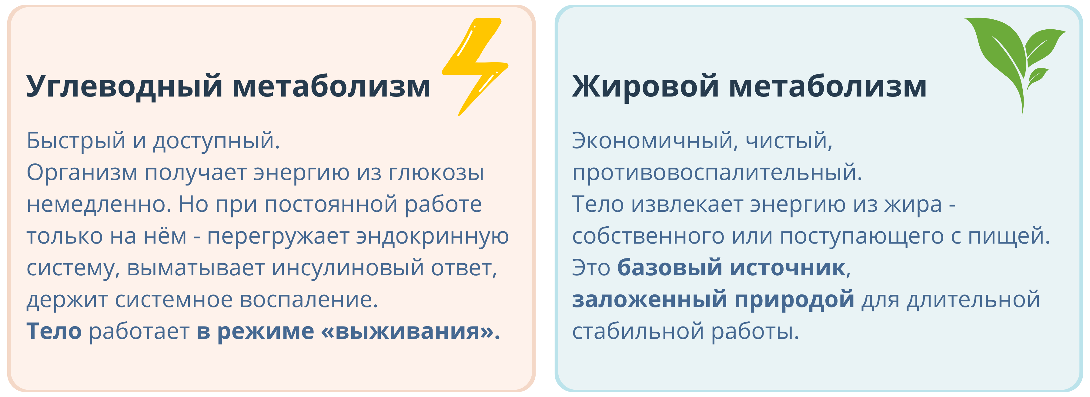 Природа дала человеку два источника энергии — углеводный метаболизм быстрый и изматывающий, и жировой метаболизм экономичный, противовоспалительный, заложенный природой для длительной стабильной работы. Эффект 3К. Кучумов Канат