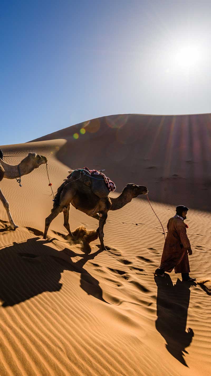 На верблюдах по пустыне Сахаре в Марокко