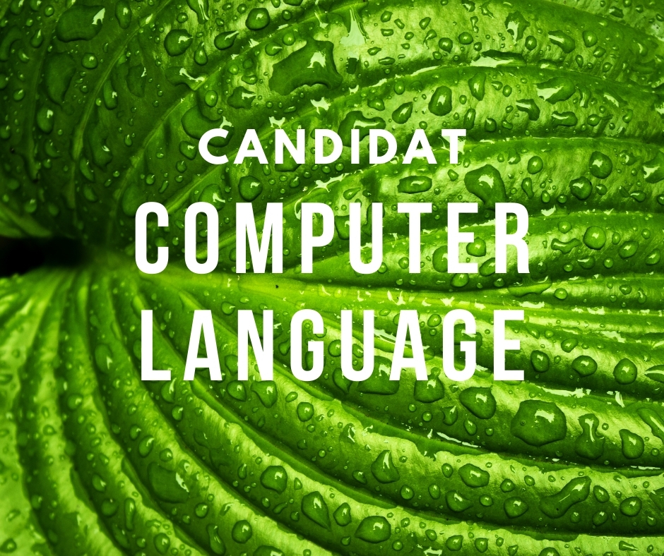 Сколько существует языков программирования?