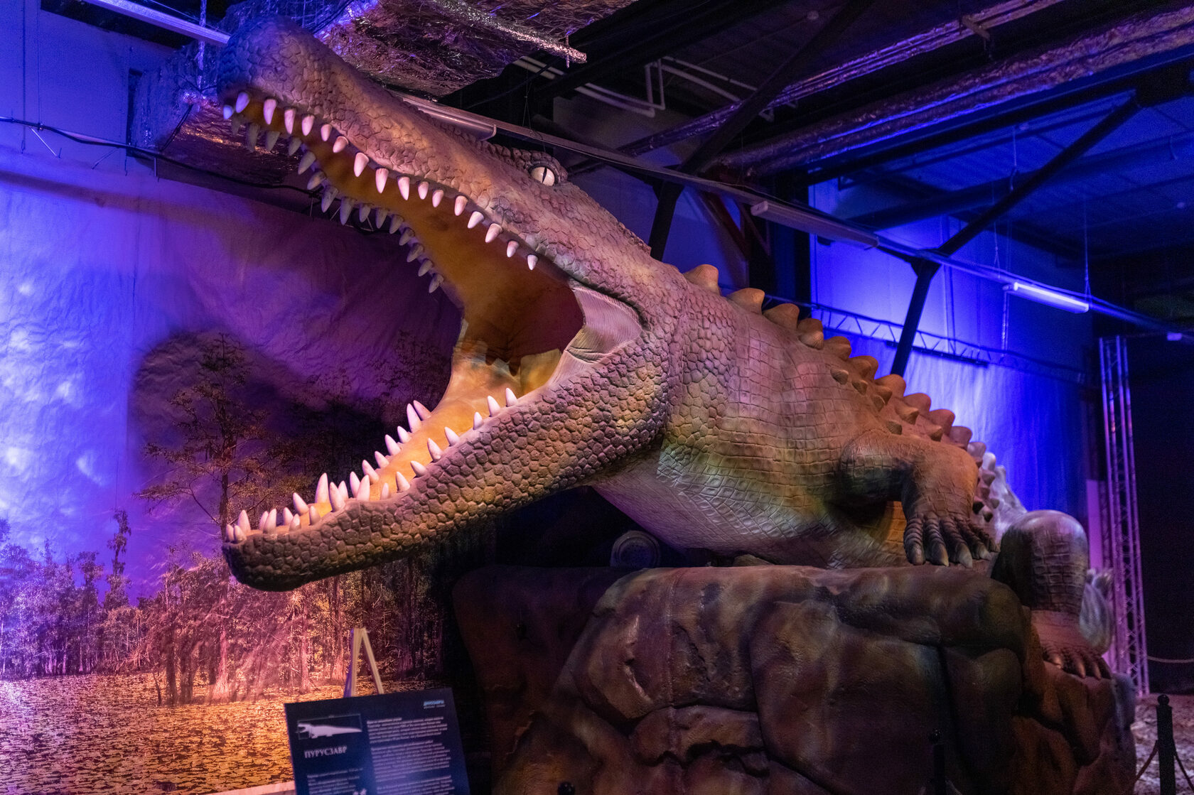 Witness the Majestic Might of China's 2023 Dinosaur Finds