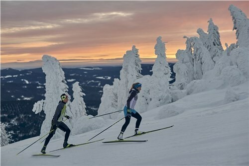 SKILETICS® by Fischer