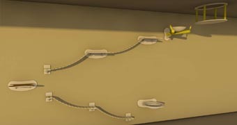 товары для котов