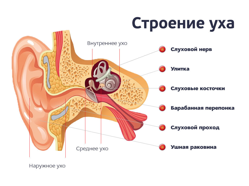 Недетская игра: узнай, почему у тебя где-то болит