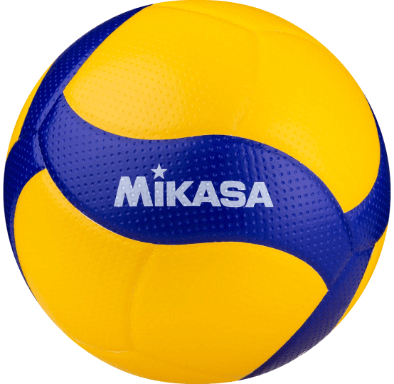 Академия волейбола Платонова