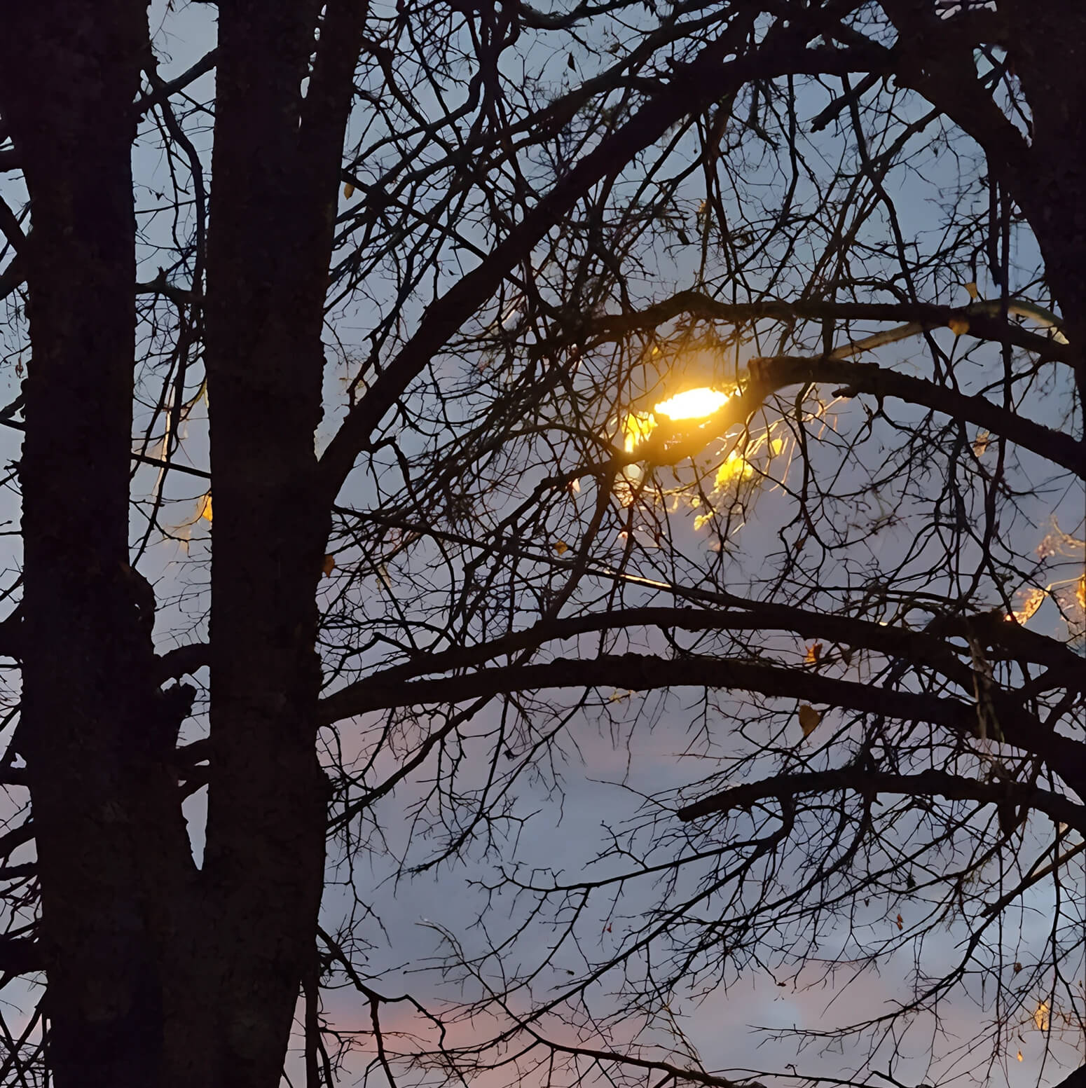 Уличный фонарь