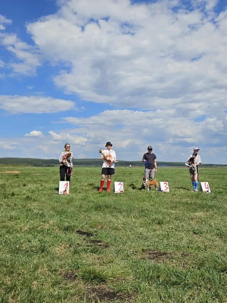 Angavu Maisha Fria - 1 место, ЧРКФ, regCACL, Sunny Pups Ully - 3 место, regCACL