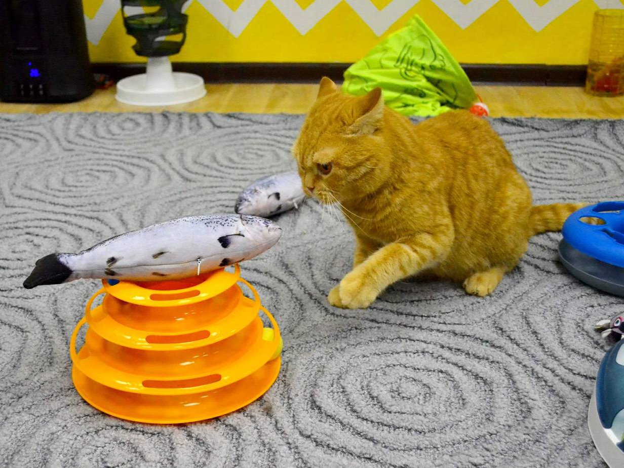 фото нанесения макияжа на лицо девушки 