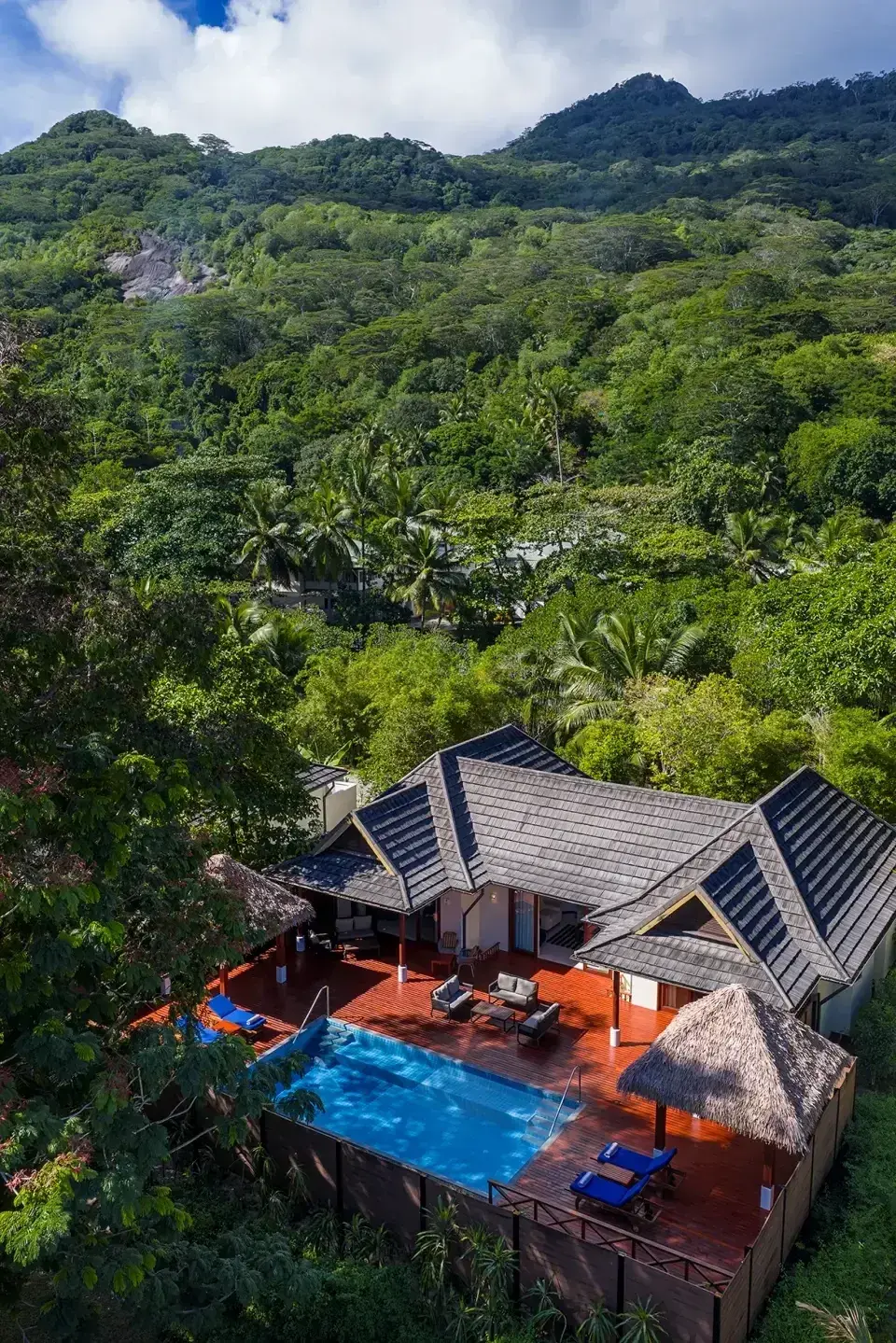 Виллы с бассейнами Niva Labriz Seychelles с высоты