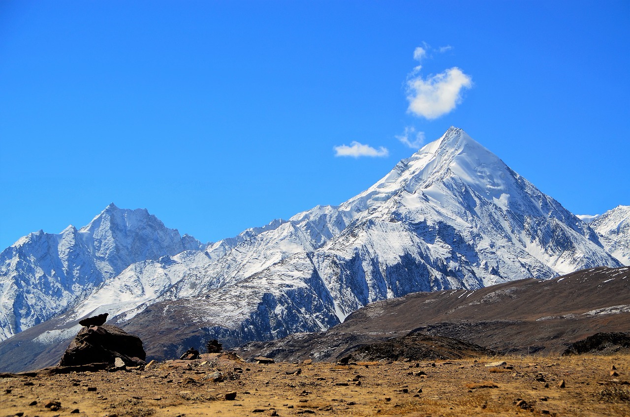 Native Trekking