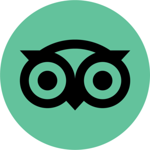 website icon