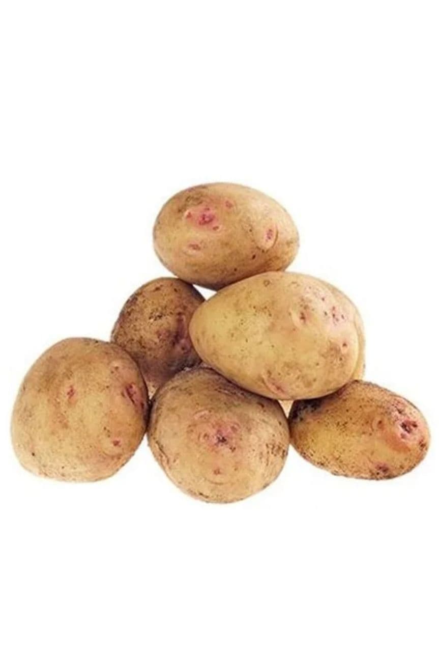 Сорт картофеля Синеглазка