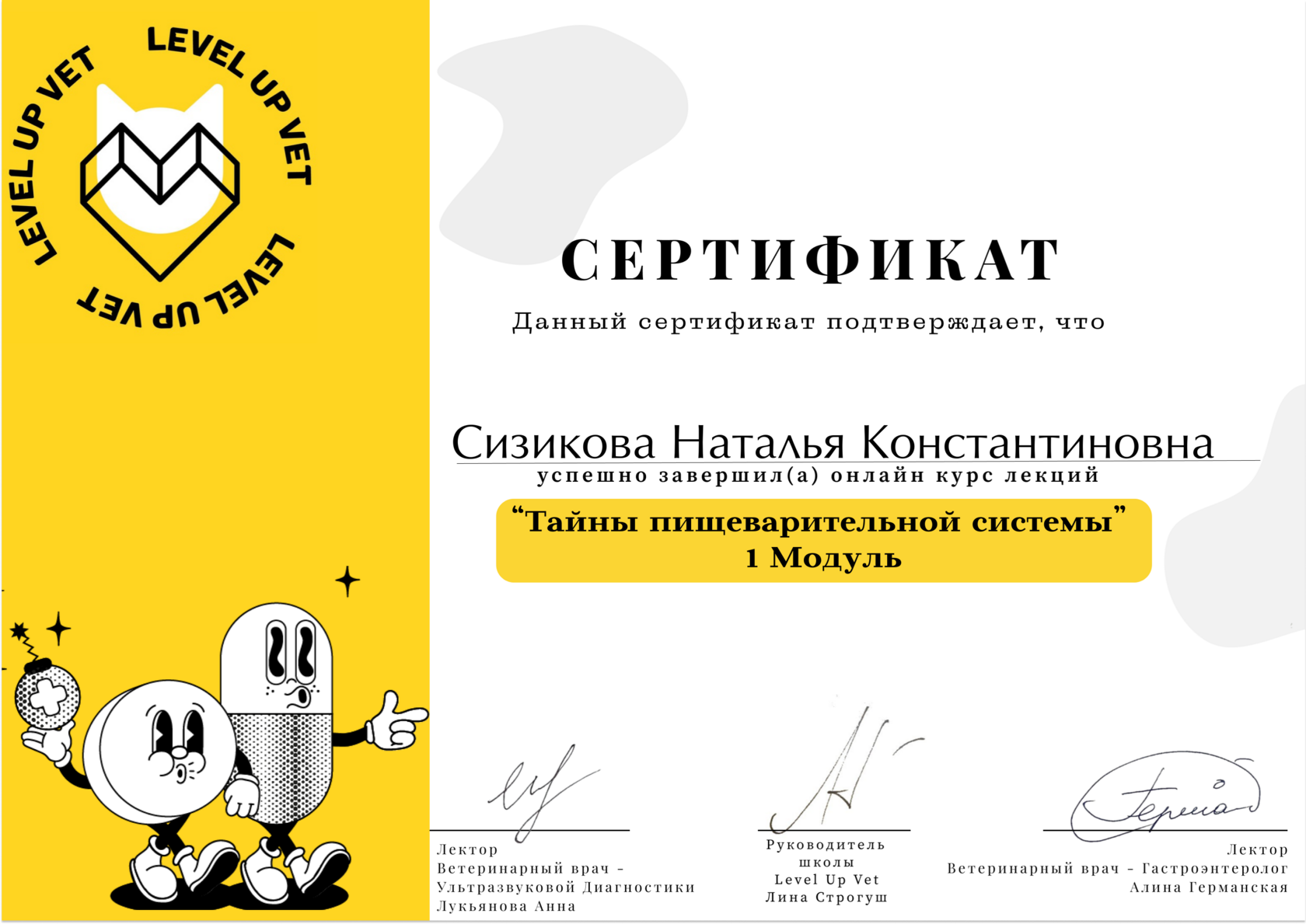 Сертификат об обучении 32