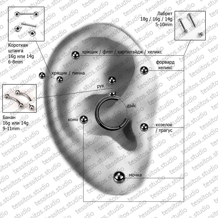 Пирсинг уха: виды проколов и сережек для ушей, особенности ухода