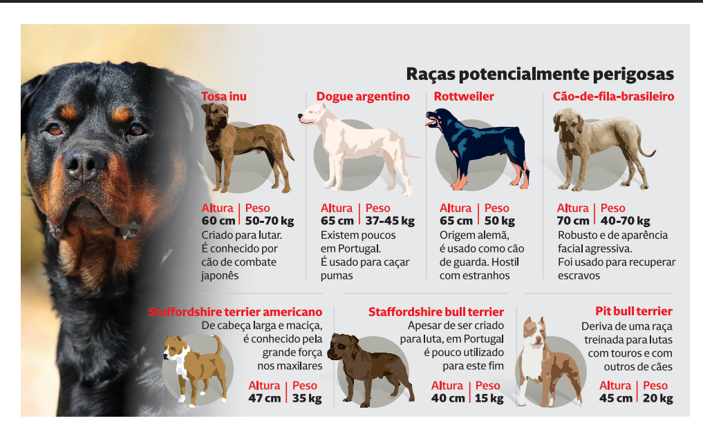 опасные породы собак в Португалии