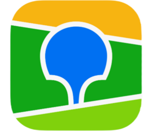 website icon