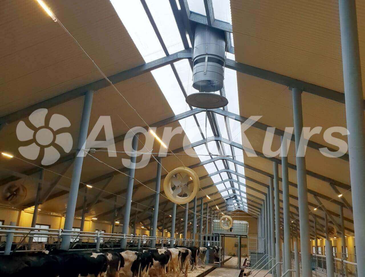 Приточно-вытяжная вентиляция для коровника с круглогодичным содержанием КРС