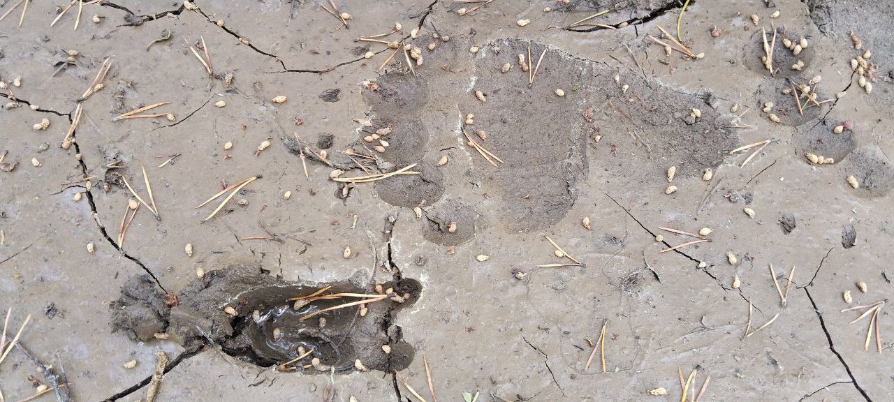 В Байкальском заповеднике 