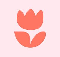 website icon