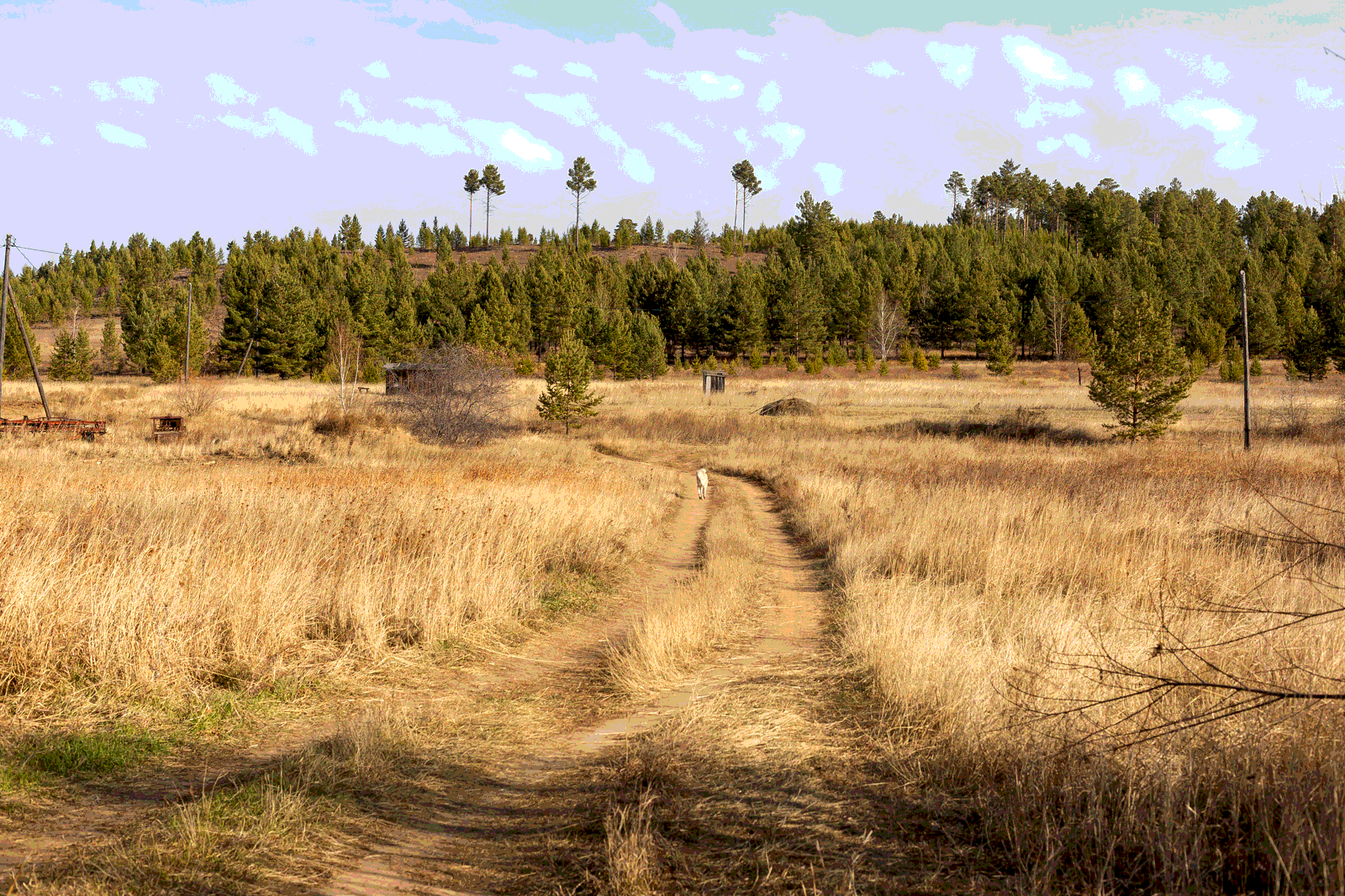 Село каково