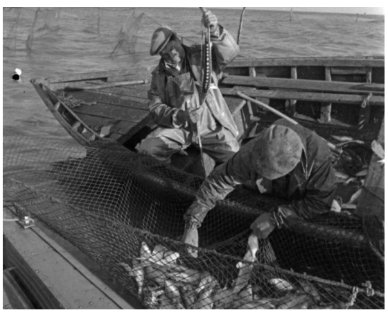 Статья 3. Осетровое море: что нужно сделать для экологии Приазовья