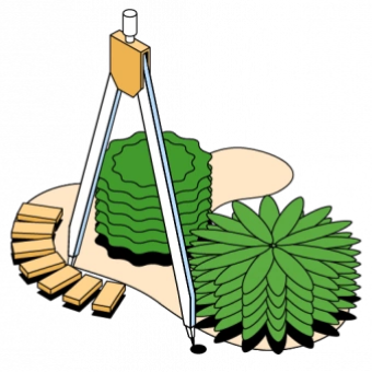 Ландшафтнй дизайн