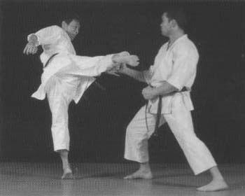Mikio Yahara: unique mawashi geri technique