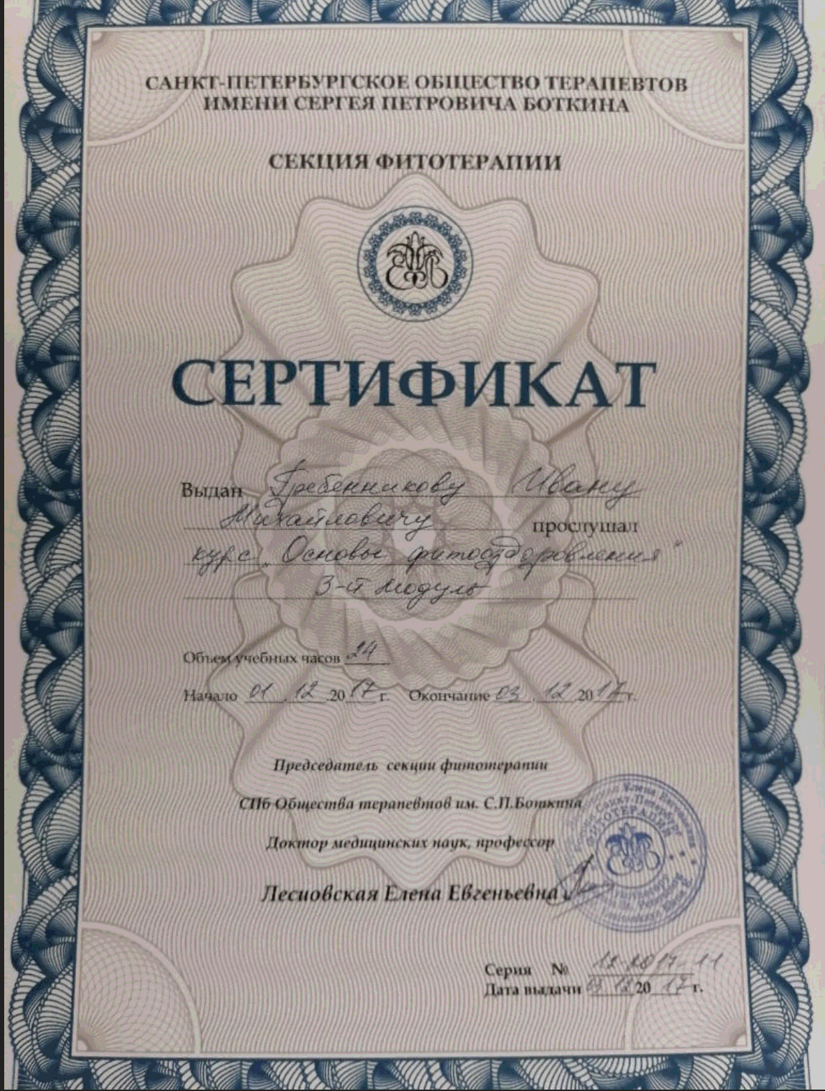 Диплом или сертификат Ивана Гребенникова — 13