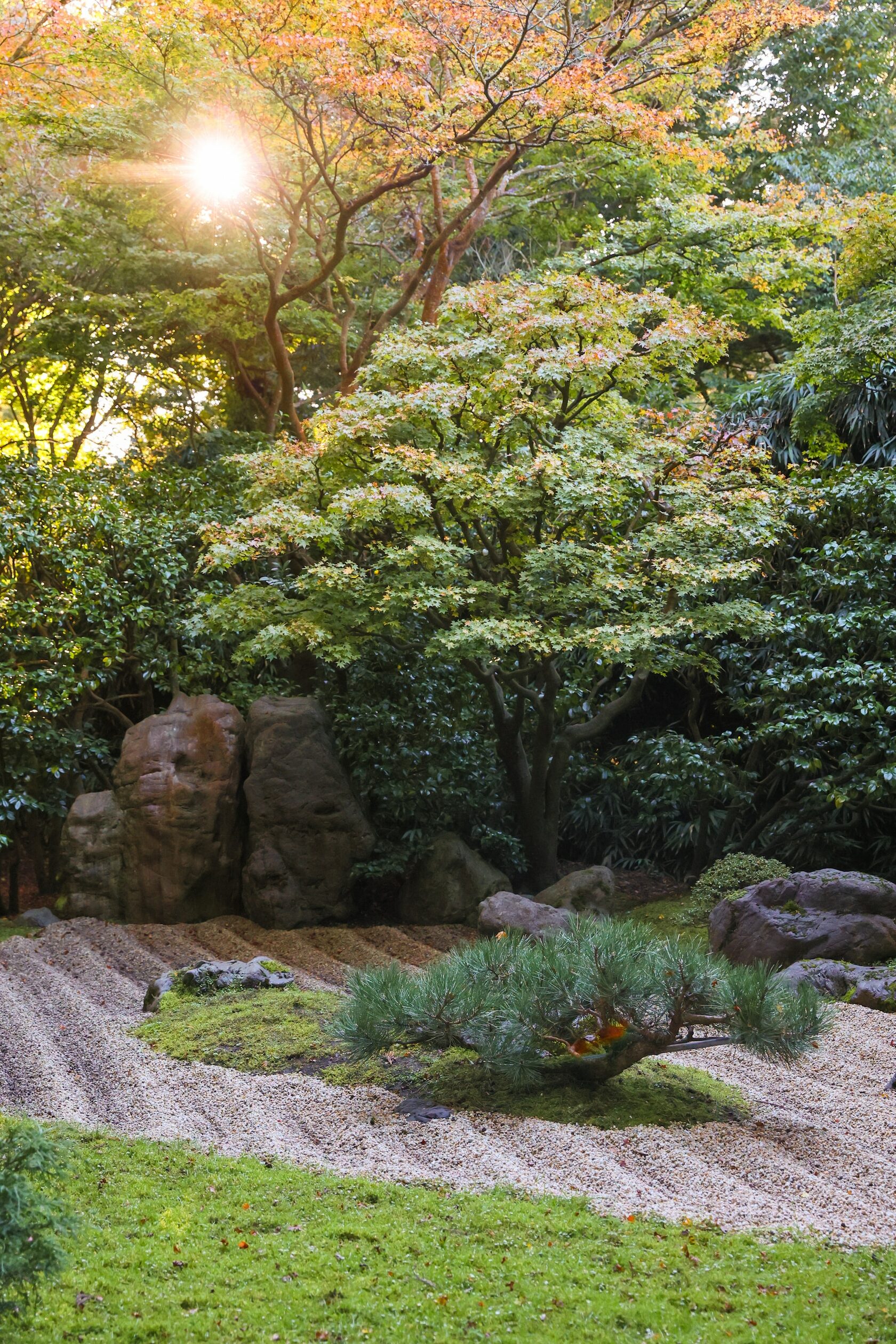 Сад в японском стиле, Сан-Франциско, Калифорния, США