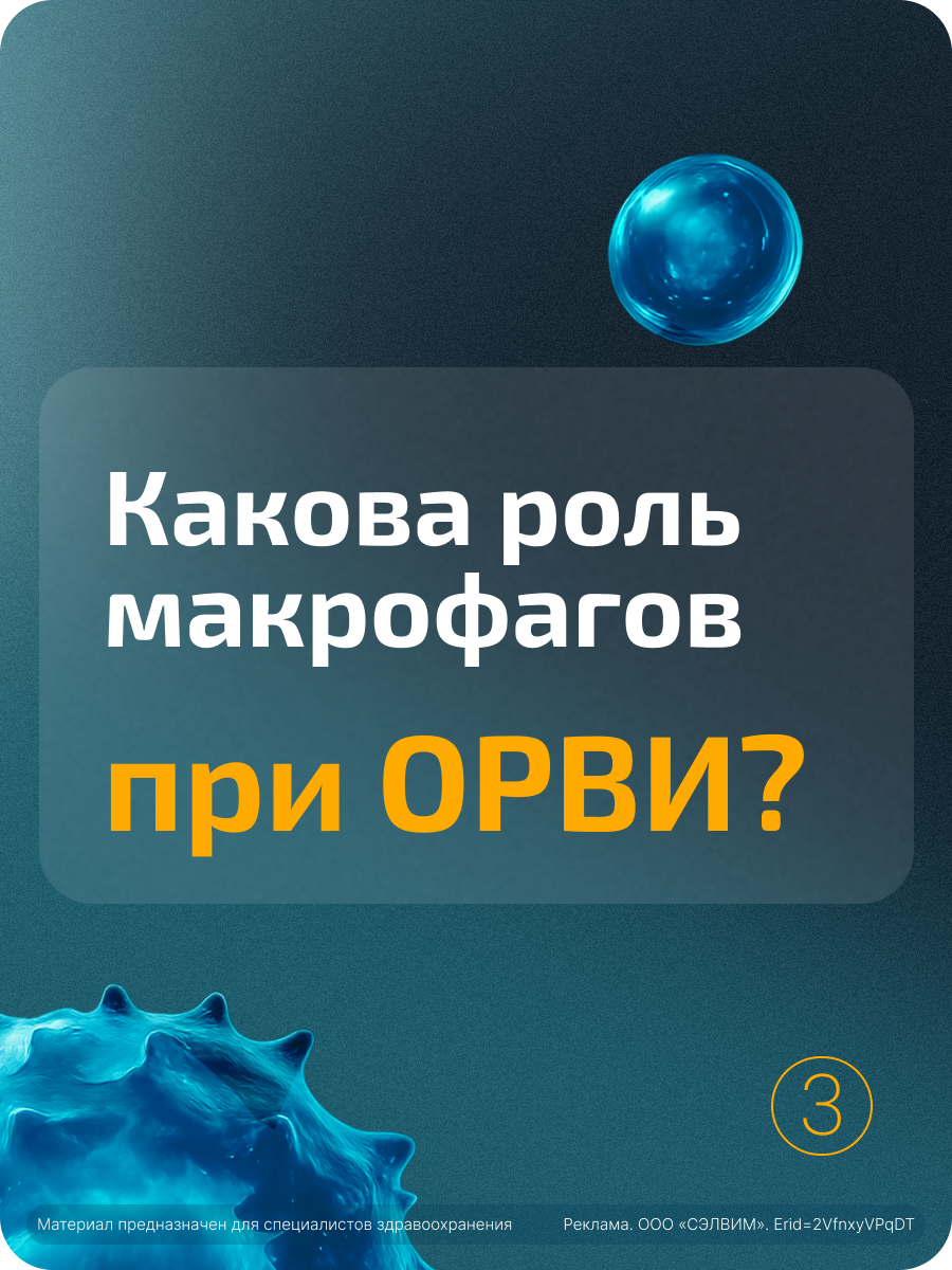 Инфобокс 3 — лицевая сторона