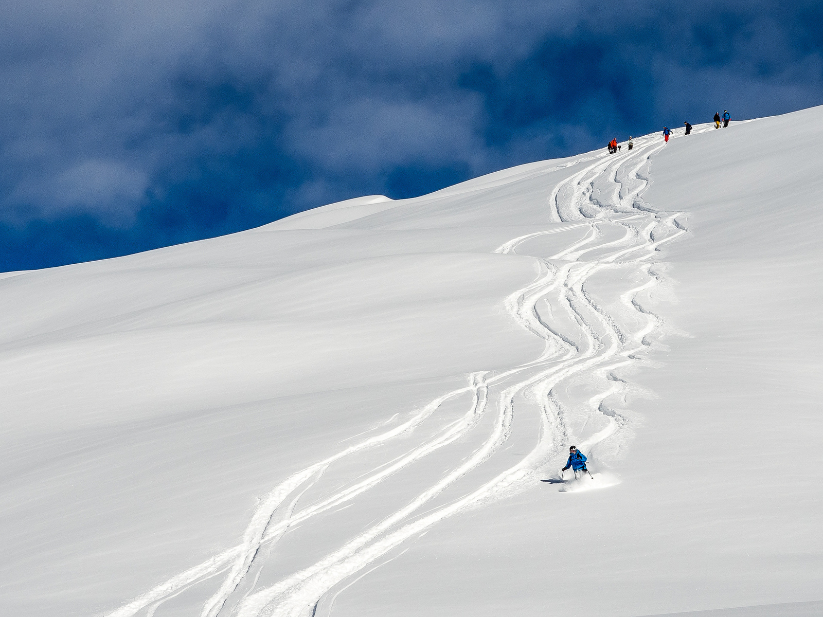 Приисковое локации