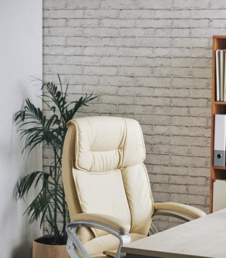 озеленение офиса заказать