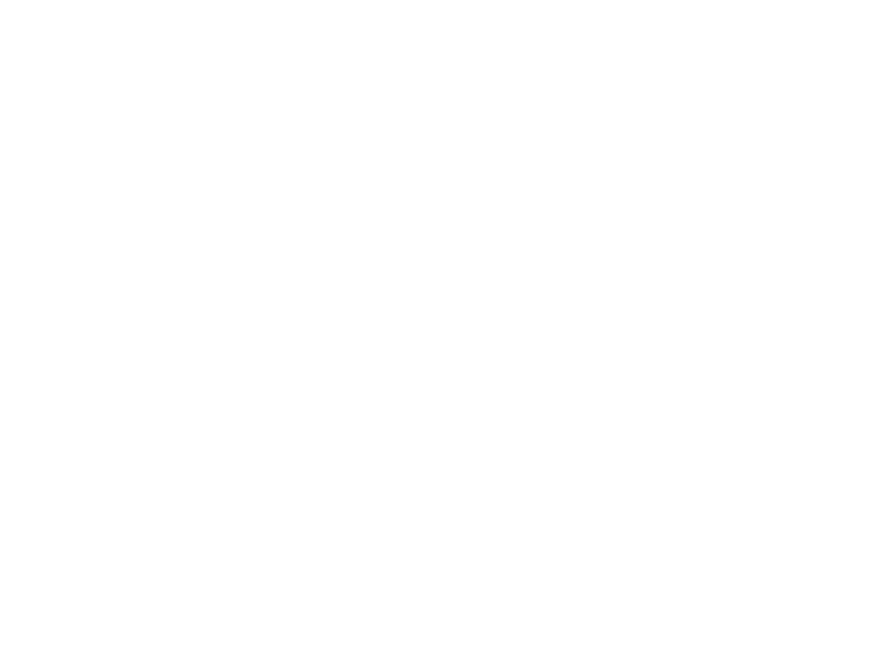 Tailis Store