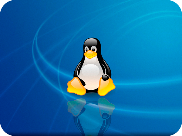 регистрация