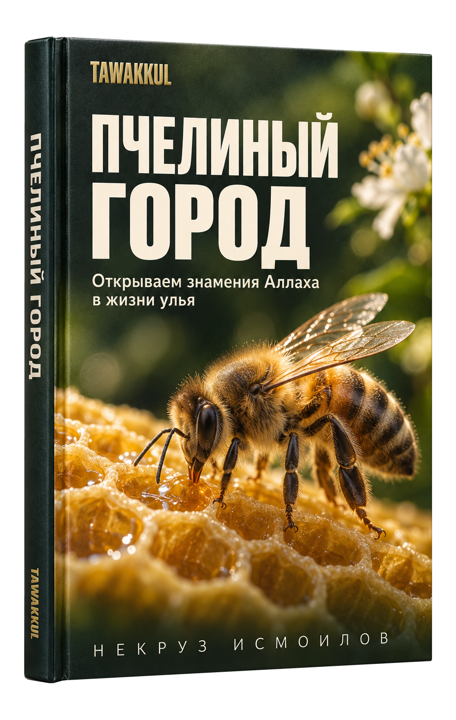 Пчелиный город. НЕКРУЗ ИСМОИЛОВ. Обложка книги