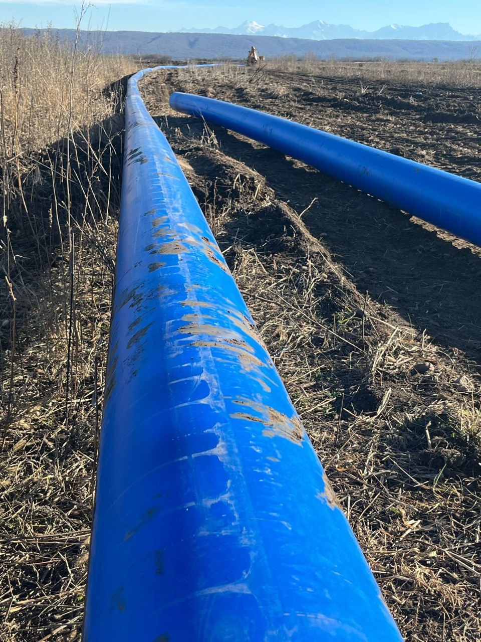 Прокладка синей водопроводной трубы по полю