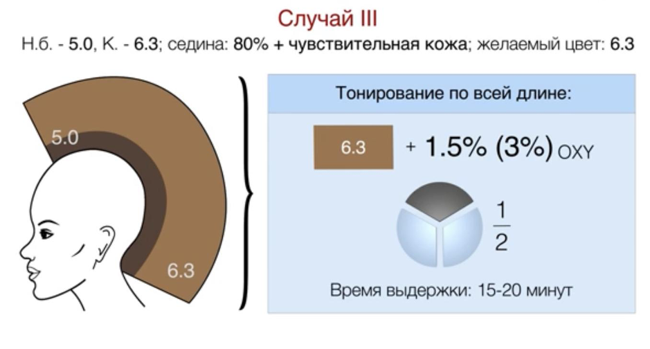 Технологическая карта по окрашиванию волос тон в тон