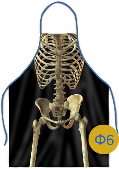 вариант печати фартука ф6