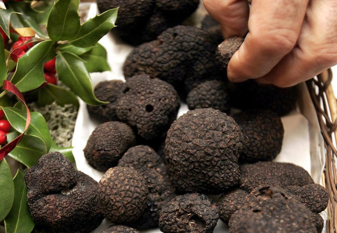 Трюфели Truffles de France