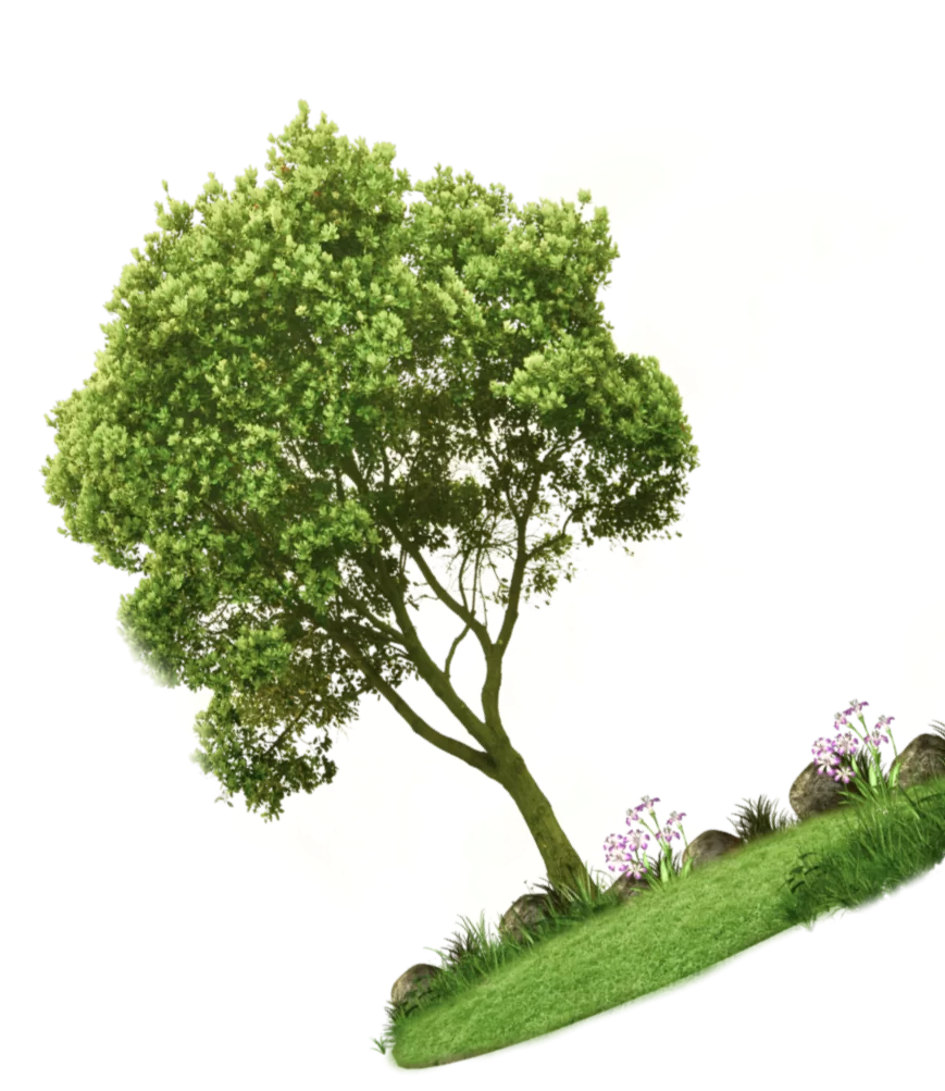 Парник Тюльпан Мини - купить теплицу тюльпан мини из поликарбоната со ...